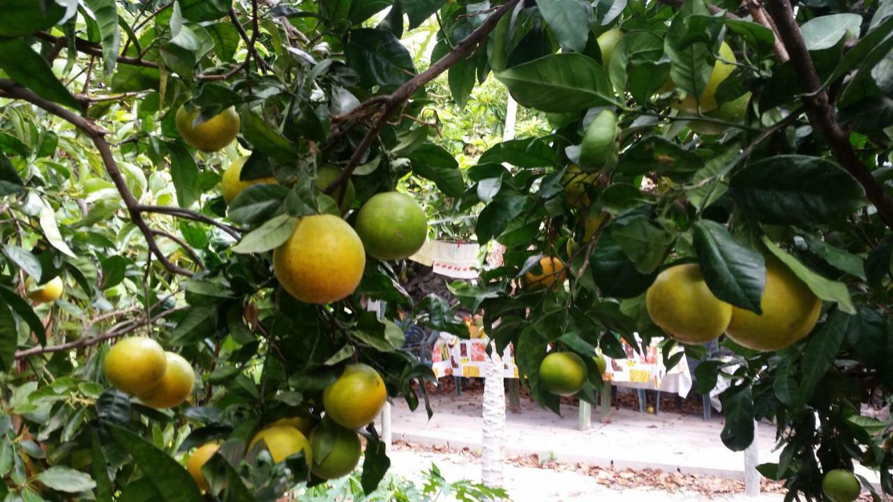 Vv - Casa Clary -Finca Medina Alojera Dış mekan fotoğraf